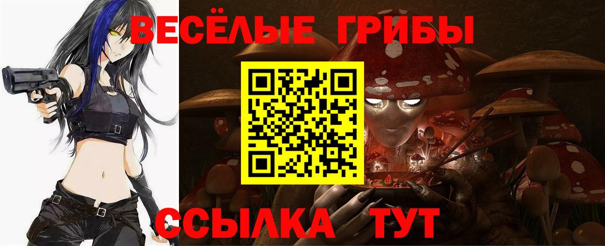 продажа наркотиков  Вход с VPN  Галлюциногенные грибы прущие грибы  Анапа  Галлюциногенные грибы мицелий 