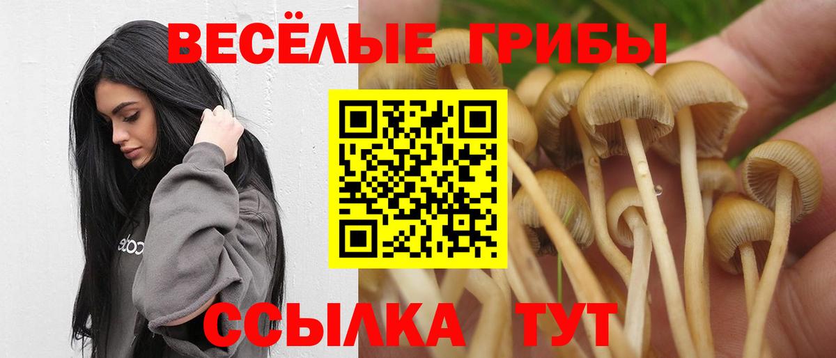 Галлюциногенные грибы ЛСД Анапа